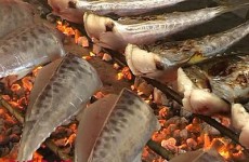 cá thu nướng cửa lò